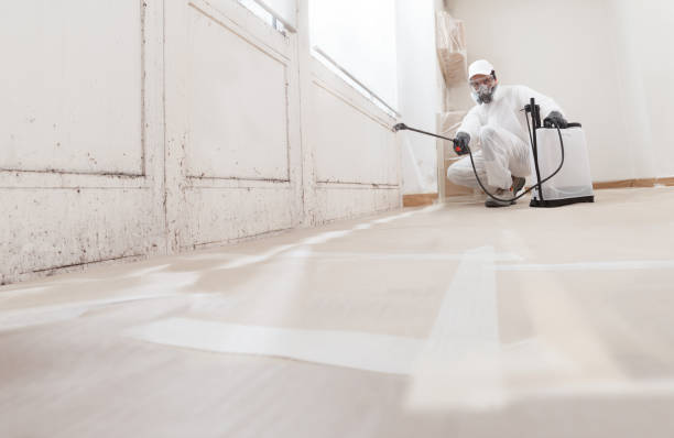 Black mold remediation team in Coats